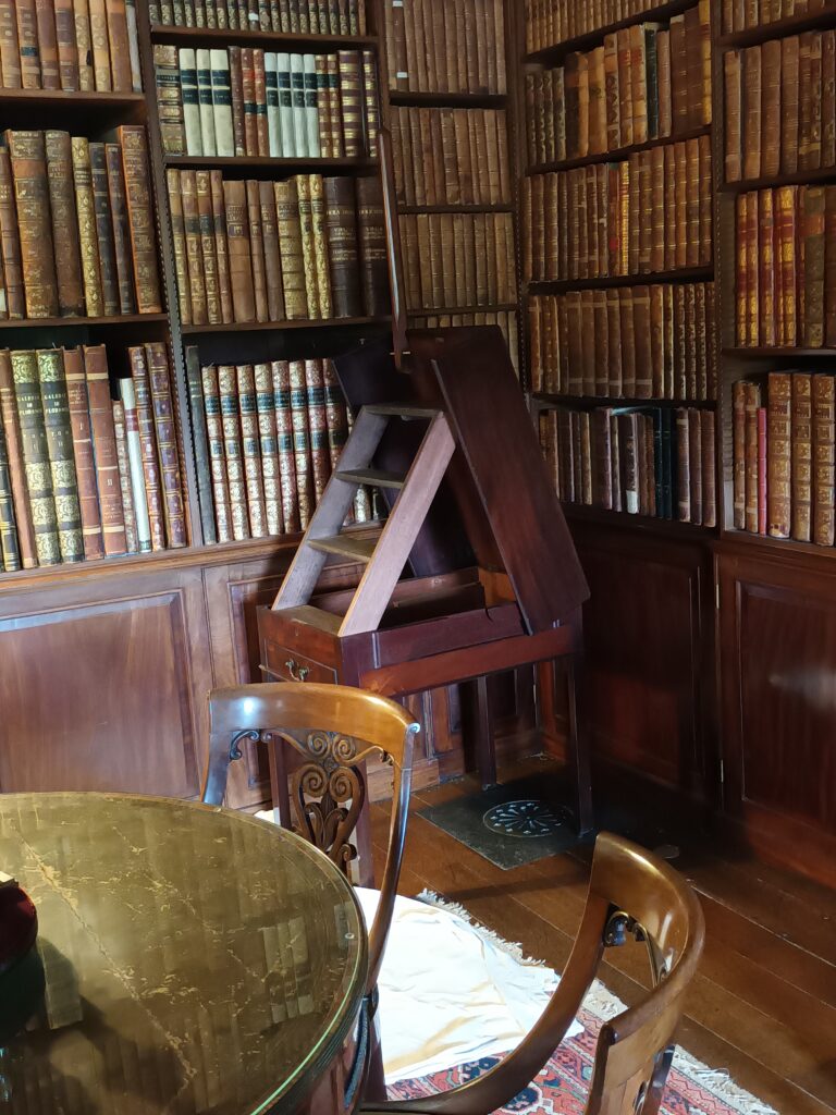 Fold out or transformable library steps at Saltram House and Garden's Library. In front of dark wood library filled with books.