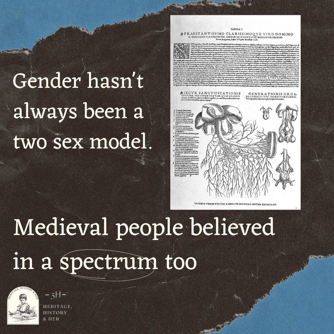 Inforgraphic with black paper background. Text reads "Gender hasn't always been a two sex model. Medieval people beleived in a spectrum too". Medieval scientific illustration of internal organs.